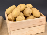 Pommes de terre Apollo