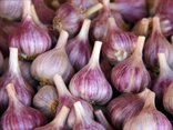 Ail violet