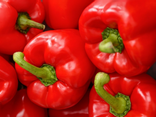 Poivron rouge