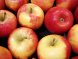 Pomme Coop Juliet Bio