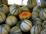 Melon boulle de miel 4/5 parts