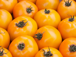 Tomates à l'ancienne