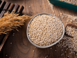 Quinoa