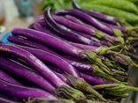 Aubergines chinoises