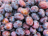 Prune violette