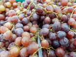 Raisins rosés sans pépin