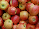 Pomme Galiwa