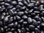 Haricots noirs