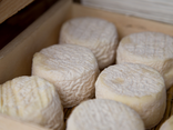 Crottin fermier