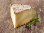 Tomme de Montagne