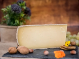 Comté 24 mois Plénitude Fort Saint Antoine Marcel Petite