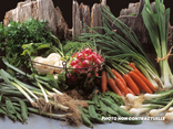 Le panier de légumes