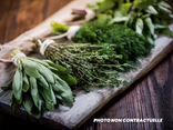 Les essentiels : aromates
