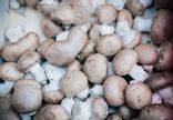 Champignons blanc