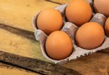 Oeufs