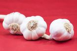 Ail blanc