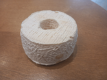 Petite rouelle du Tarn