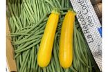 Courgettes jaunes