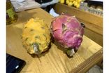 Fruit du dragon
