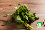 Basilic en botte - Bio