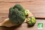 Brocoli - Bio
