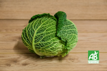 Chou vert - Bio