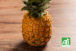 Ananas Costa Rica - Bio