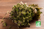 Bouquet garni - Bio