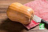 Courge butternut - Bio
