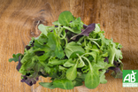 Mesclun - Bio