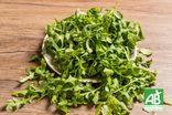 Roquette - Bio