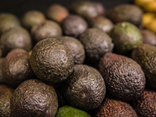 Avocat hass
