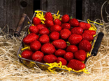 Fraise gariguette