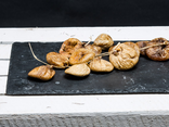 Figues ficelles