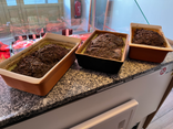 Terrine Maison au piment d' Espelette