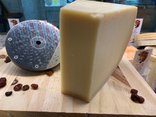 Parmesan