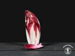 Endive Rouge