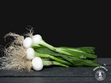 Oignons blancs – Botte (Prix pour une botte)