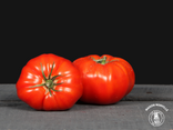 Tomates Coeur