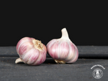 Ail rose  (Prix pour 1 pièce)