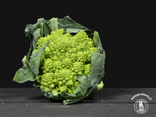 Chou romanesco – À l’unité