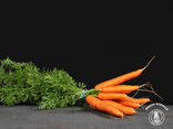 Carottes botte local
