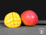 Mangue