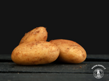 Pomme de terre Spunta