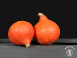 Le Palais du fruit