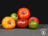Tomates mix (jaune, noir, rouge) Local