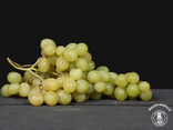 Raisins Italia