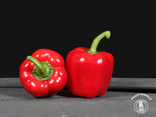 Poivron rouge – Prix pour 1 pièce