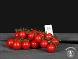 Tomates cerises Rabelais – Prix pour 1 grappe