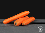 Carottes lavées